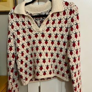 Ladybug sweater